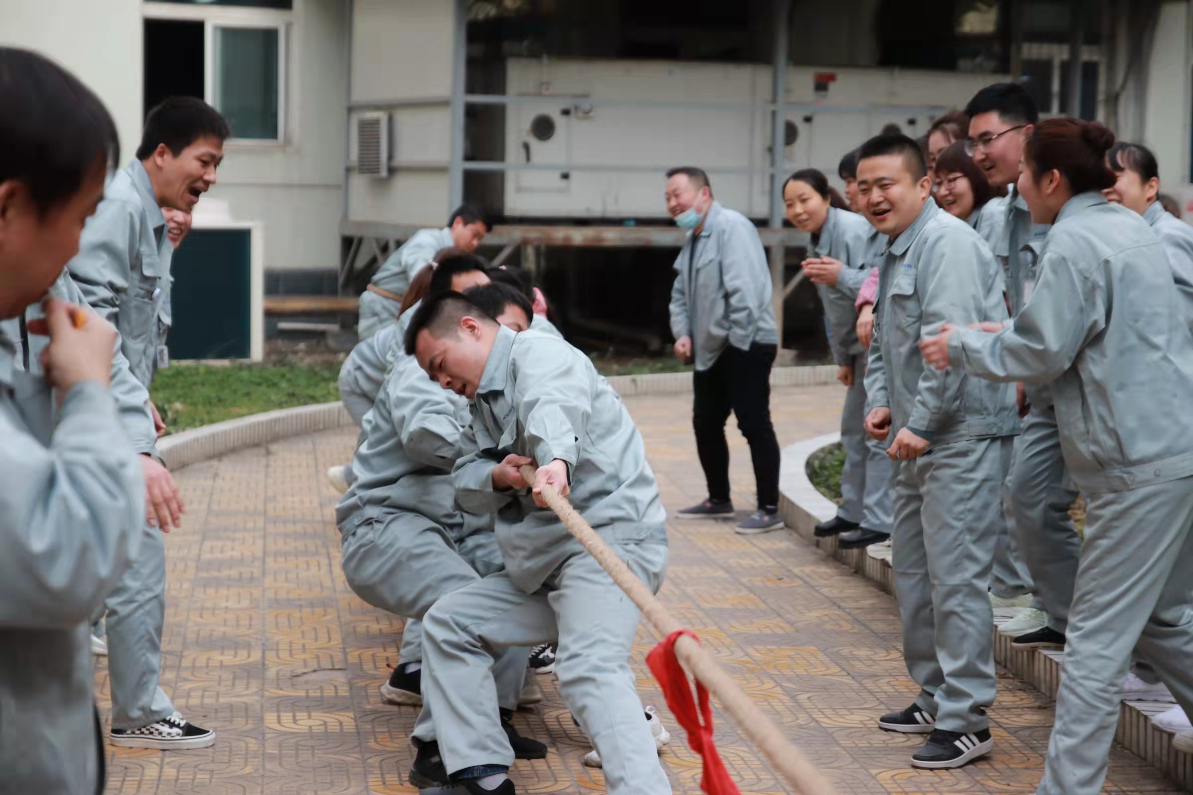 1646884240376113.jpg 1646884240376113.jpg