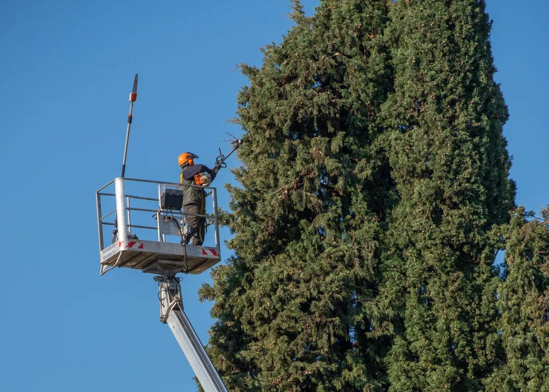 1687851701623485.jpg 1.jpg